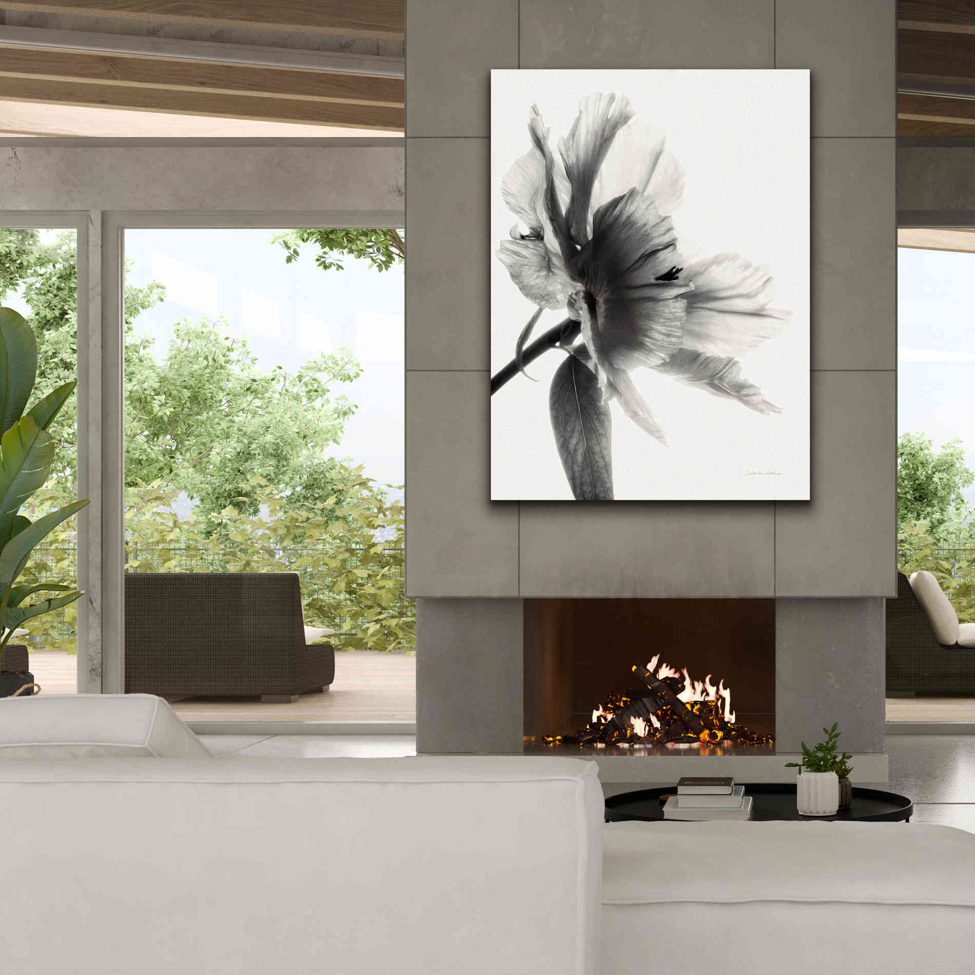 'Translucent Peony IIBW' by Debra Van Swearingen, Canvas Wall Art,40 x 54