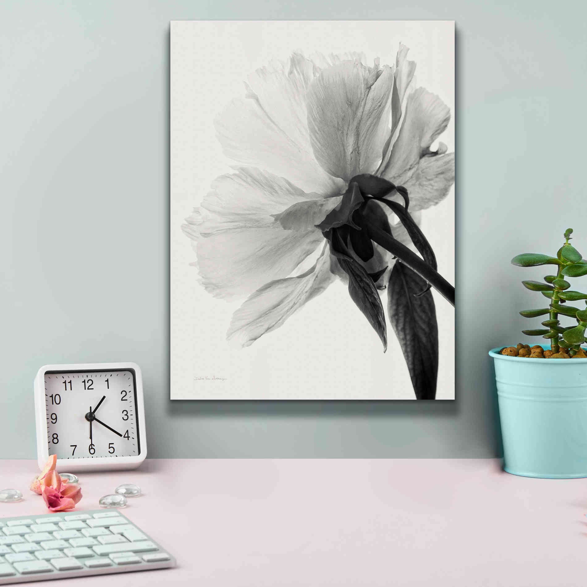 'Translucent Peony IIIBW' by Debra Van Swearingen, Canvas Wall Art,12 x 16