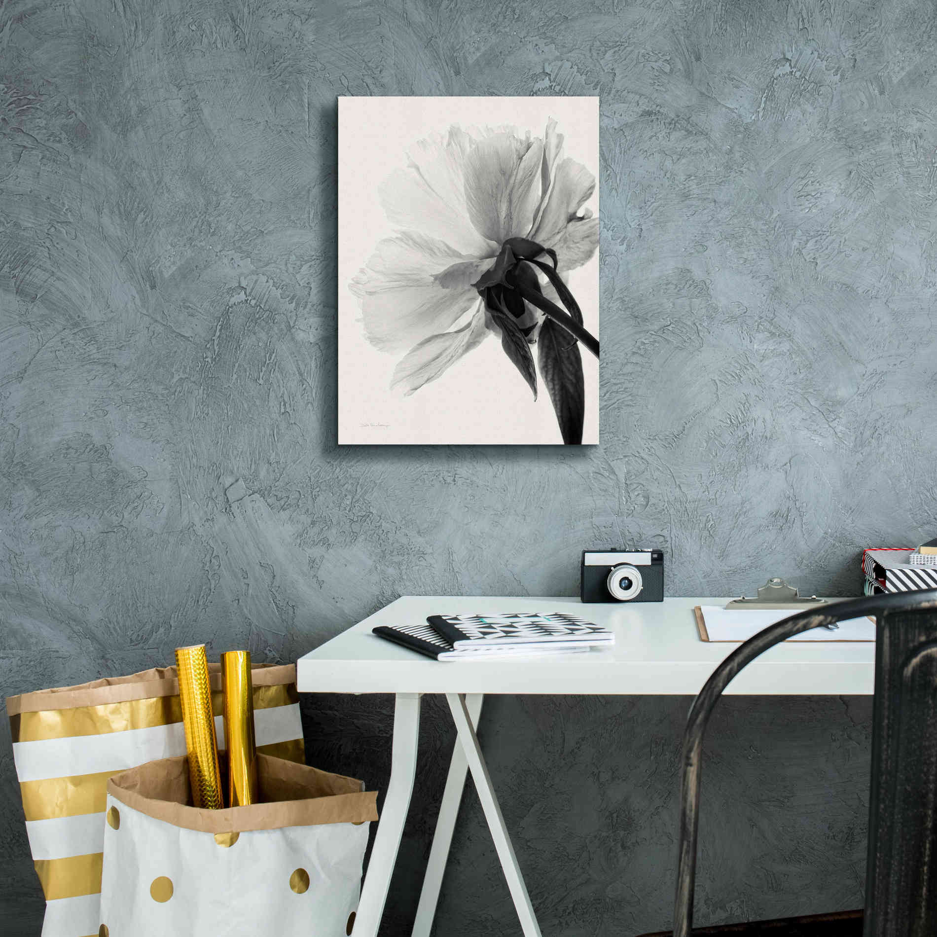 'Translucent Peony IIIBW' by Debra Van Swearingen, Canvas Wall Art,12 x 16
