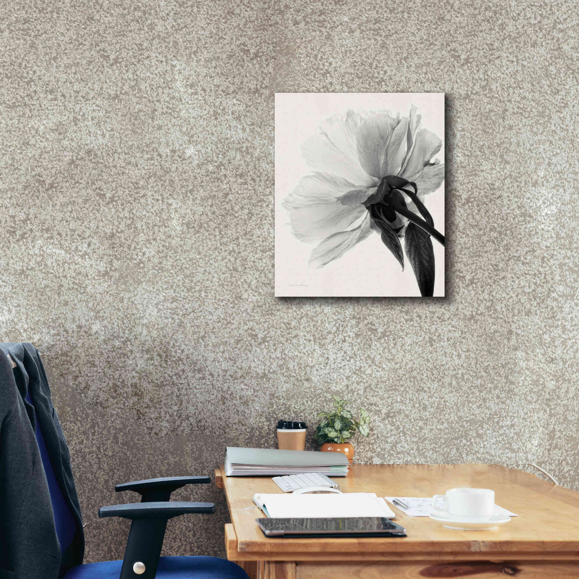 'Translucent Peony IIIBW' by Debra Van Swearingen, Canvas Wall Art,20 x 24