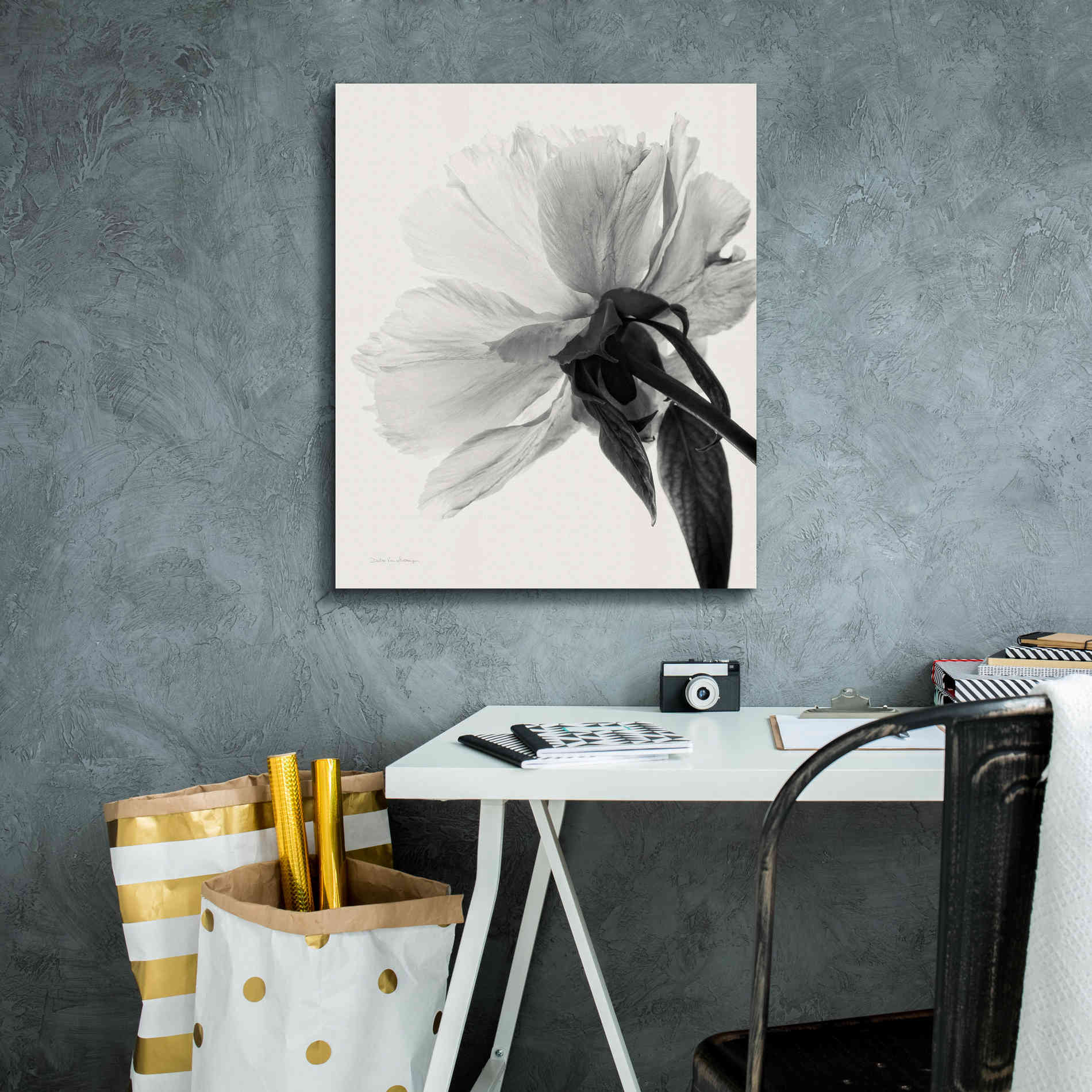 'Translucent Peony IIIBW' by Debra Van Swearingen, Canvas Wall Art,20 x 24