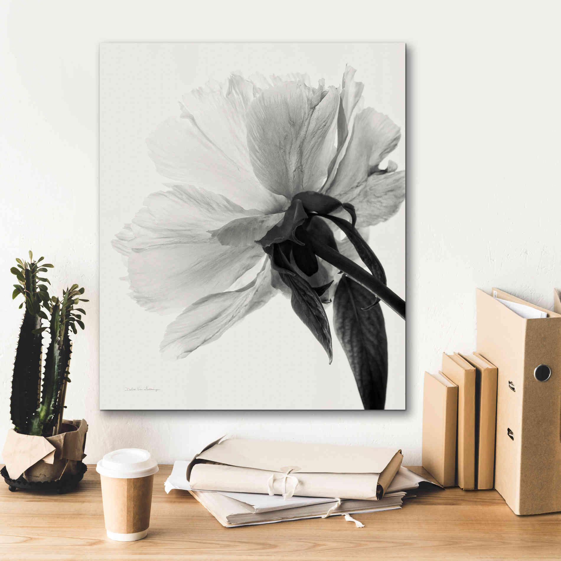 'Translucent Peony IIIBW' by Debra Van Swearingen, Canvas Wall Art,20 x 24