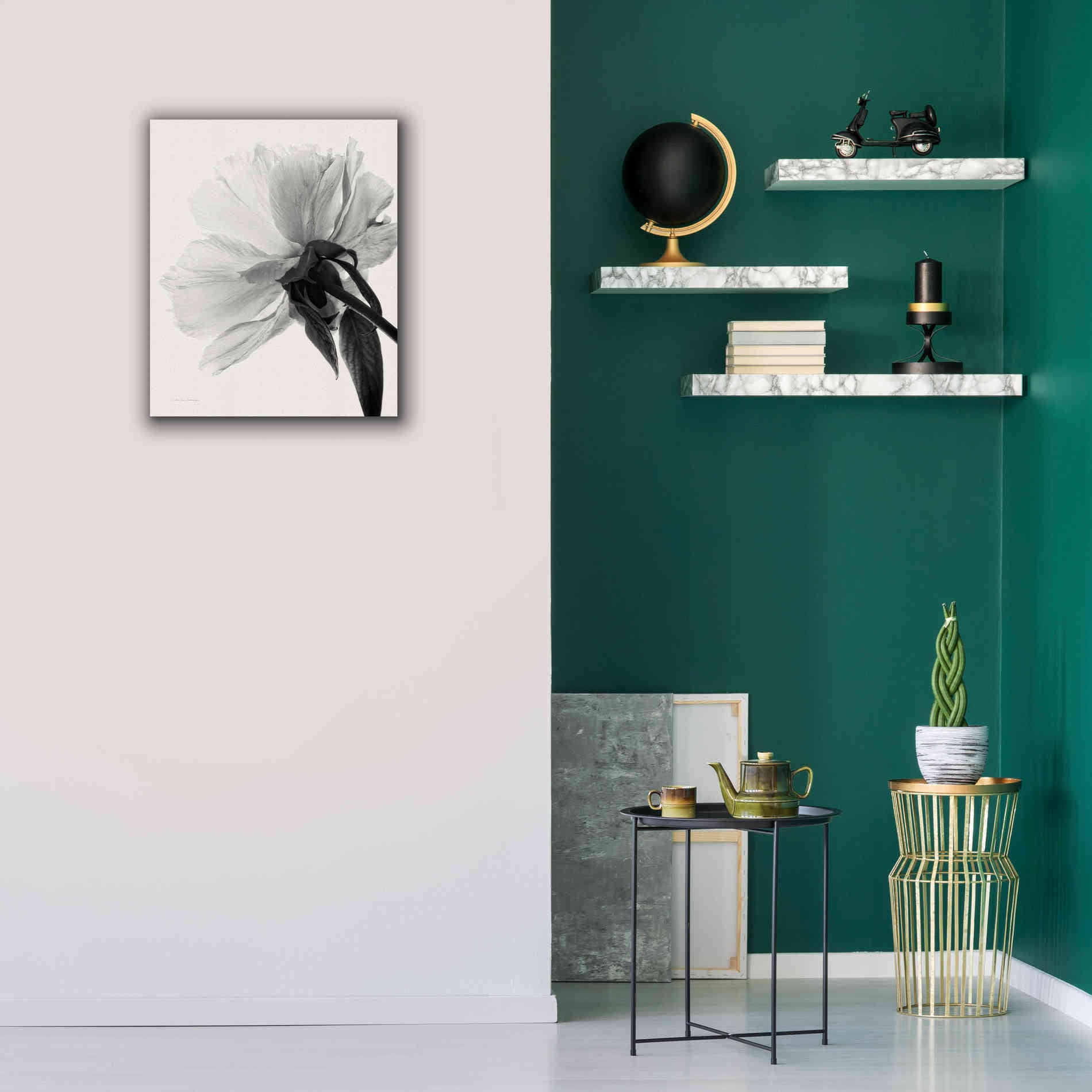 'Translucent Peony IIIBW' by Debra Van Swearingen, Canvas Wall Art,20 x 24