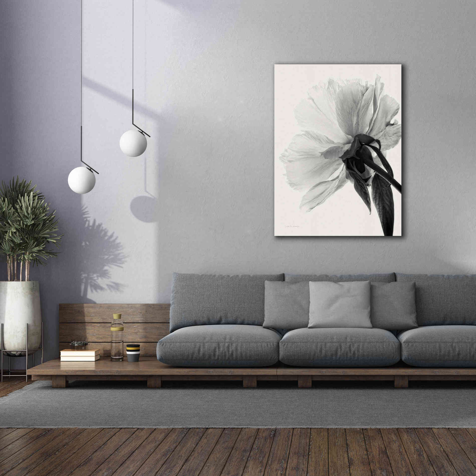 'Translucent Peony IIIBW' by Debra Van Swearingen, Canvas Wall Art,40 x 54