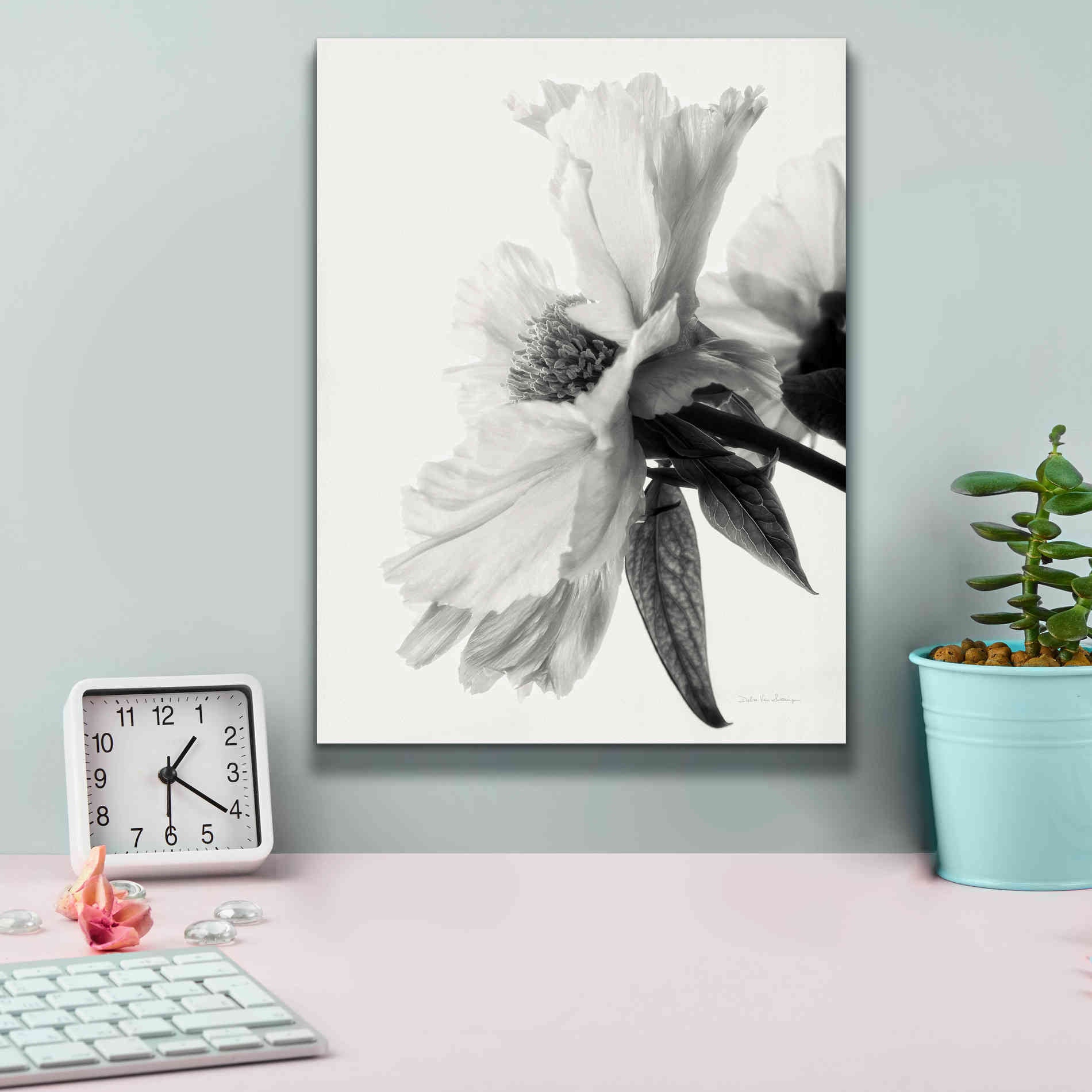 'Translucent Peony IVBW' by Debra Van Swearingen, Canvas Wall Art,12 x 16