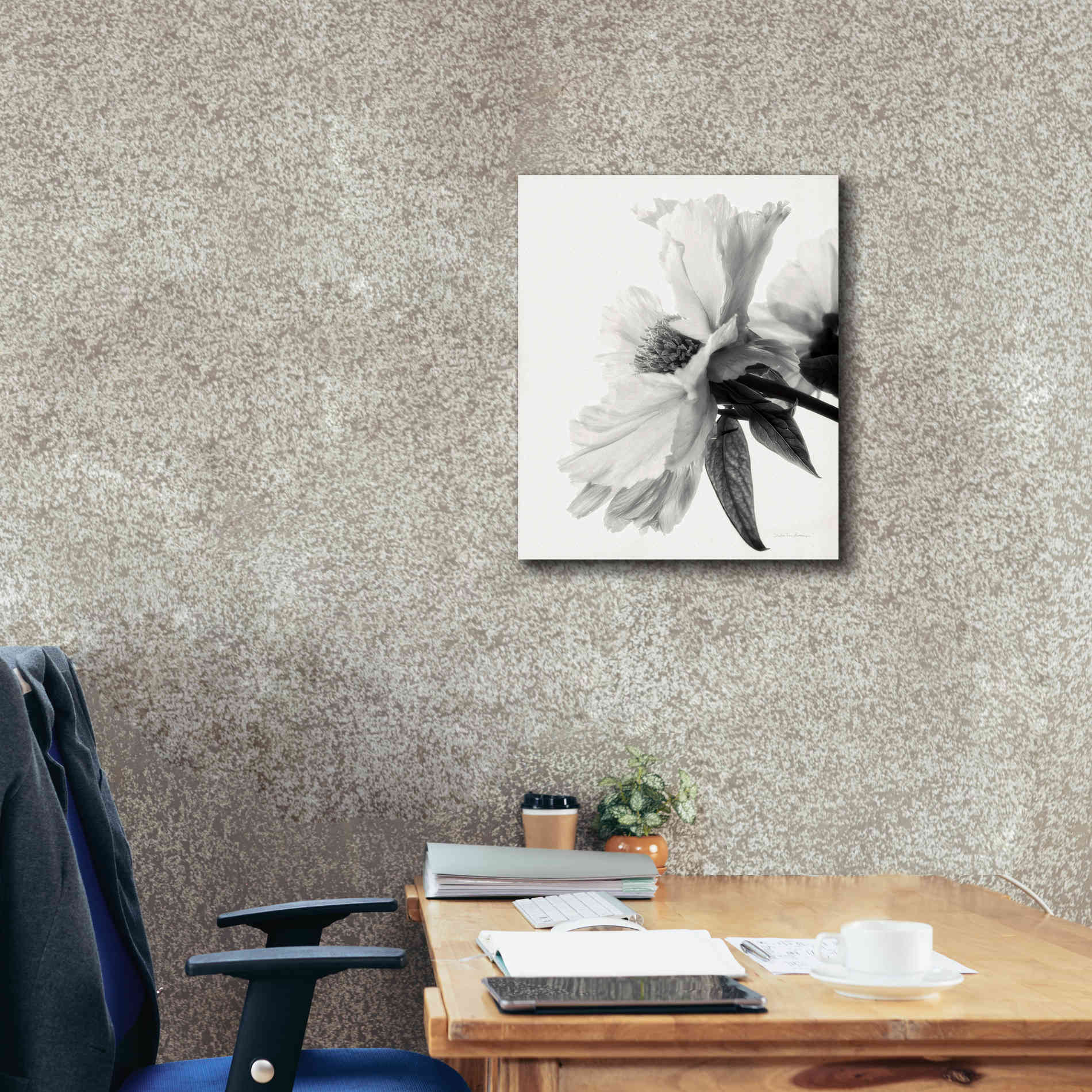 'Translucent Peony IVBW' by Debra Van Swearingen, Canvas Wall Art,20 x 24