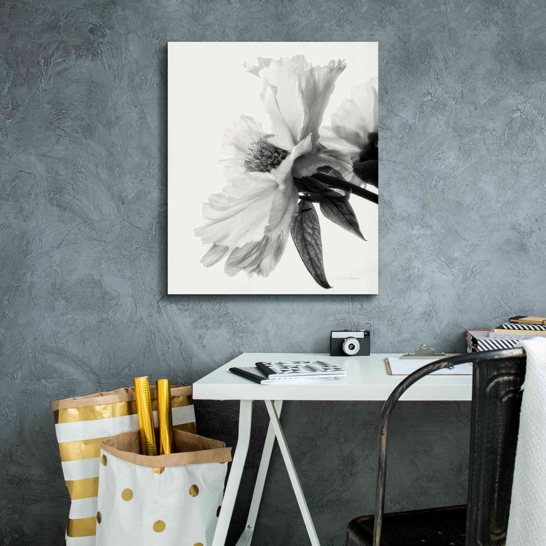 'Translucent Peony IVBW' by Debra Van Swearingen, Canvas Wall Art,20 x 24