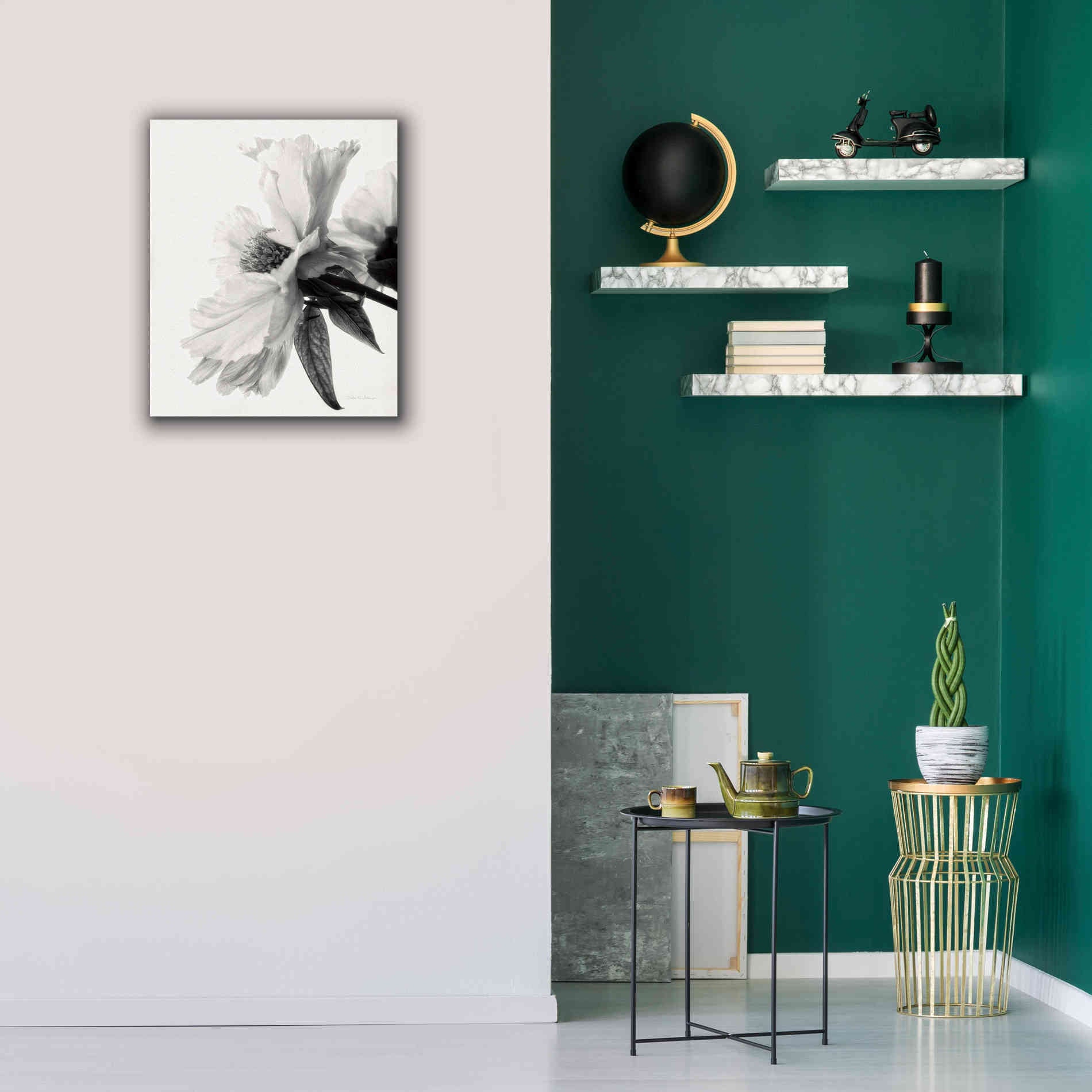 'Translucent Peony IVBW' by Debra Van Swearingen, Canvas Wall Art,20 x 24