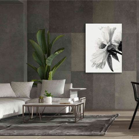 Image of 'Translucent Peony IVBW' by Debra Van Swearingen, Canvas Wall Art,40 x 54