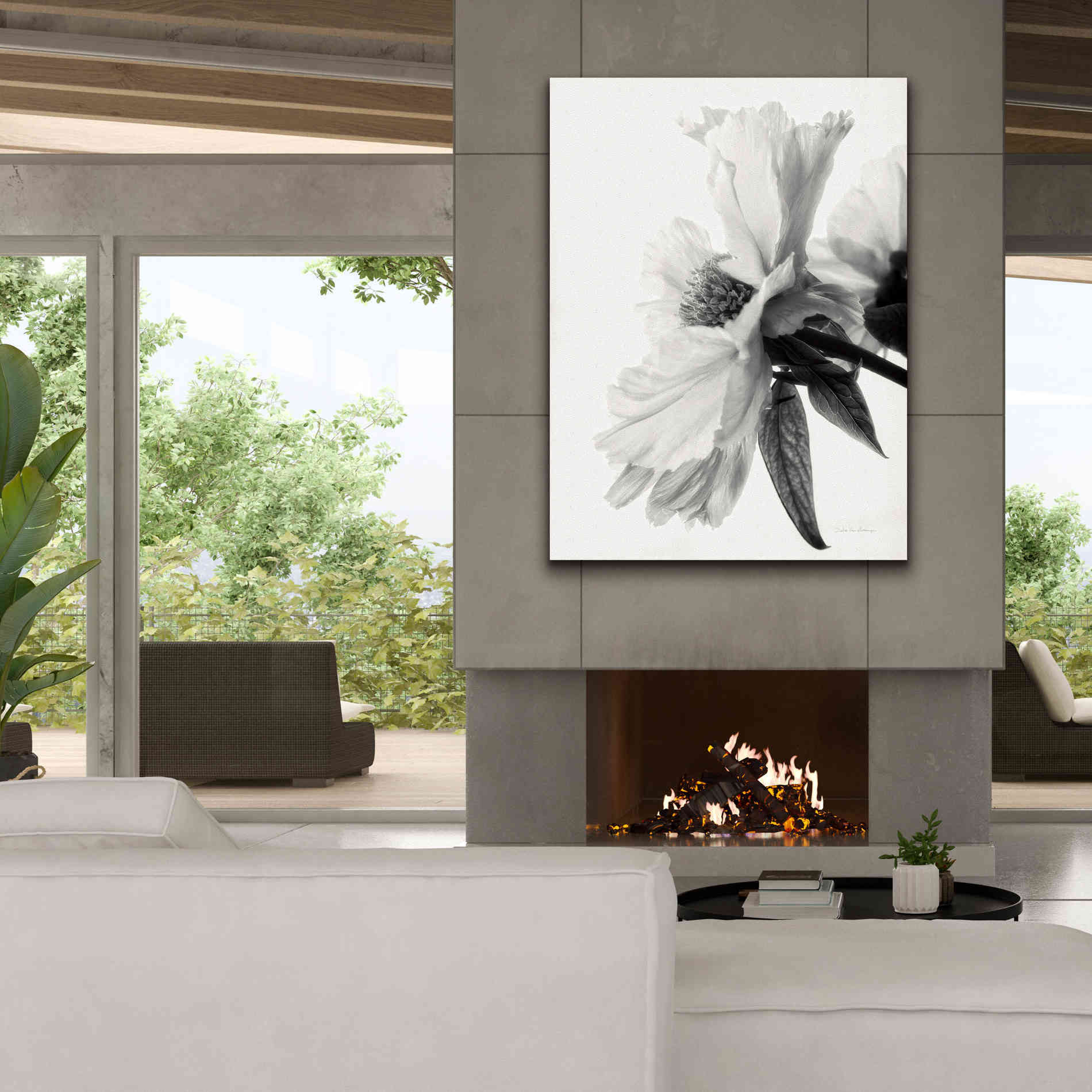 'Translucent Peony IVBW' by Debra Van Swearingen, Canvas Wall Art,40 x 54