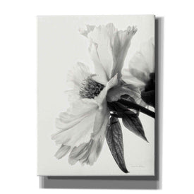 'Translucent Peony IVBW' by Debra Van Swearingen, Canvas Wall Art,12x16x1.1x0,20x24x1.1x0,26x30x1.74x0,40x54x1.74x0