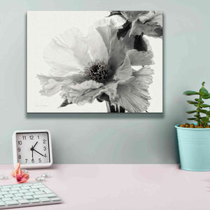 'Translucent Peony VBW' by Debra Van Swearingen, Canvas Wall Art,16 x 12