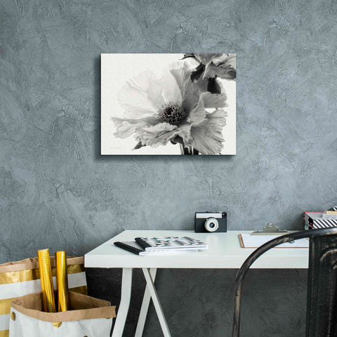 Image of 'Translucent Peony VBW' by Debra Van Swearingen, Canvas Wall Art,16 x 12