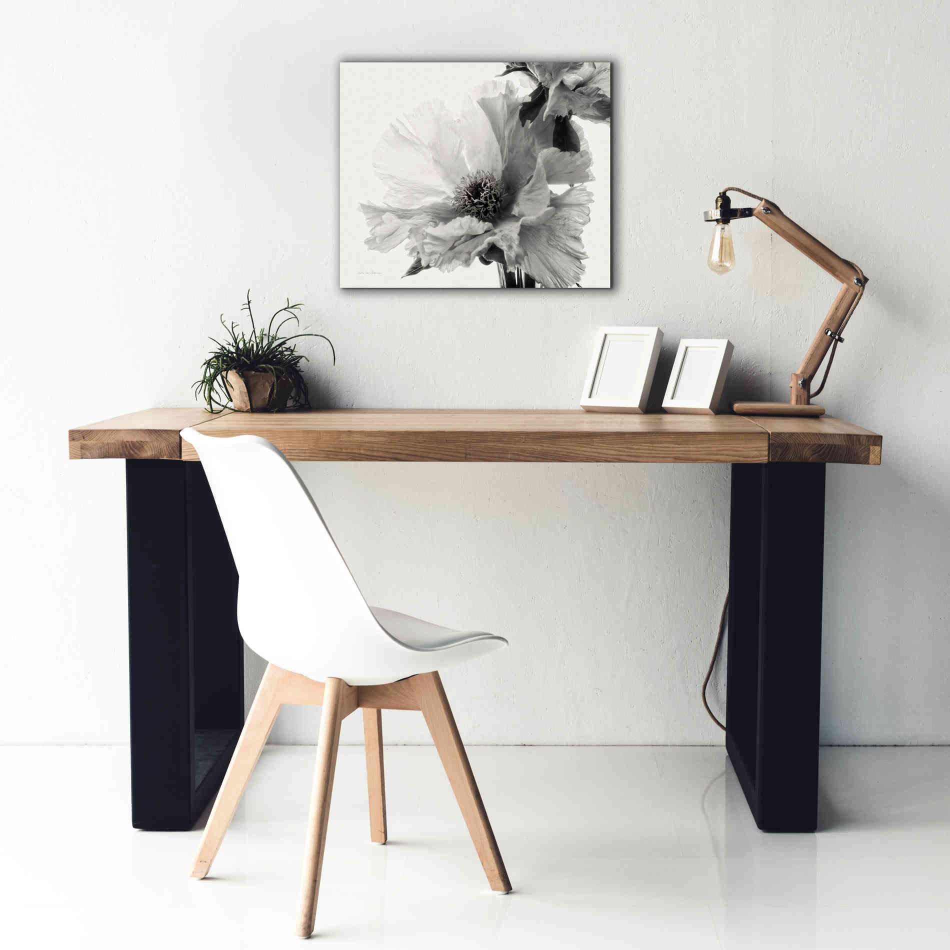 'Translucent Peony VBW' by Debra Van Swearingen, Canvas Wall Art,24 x 20