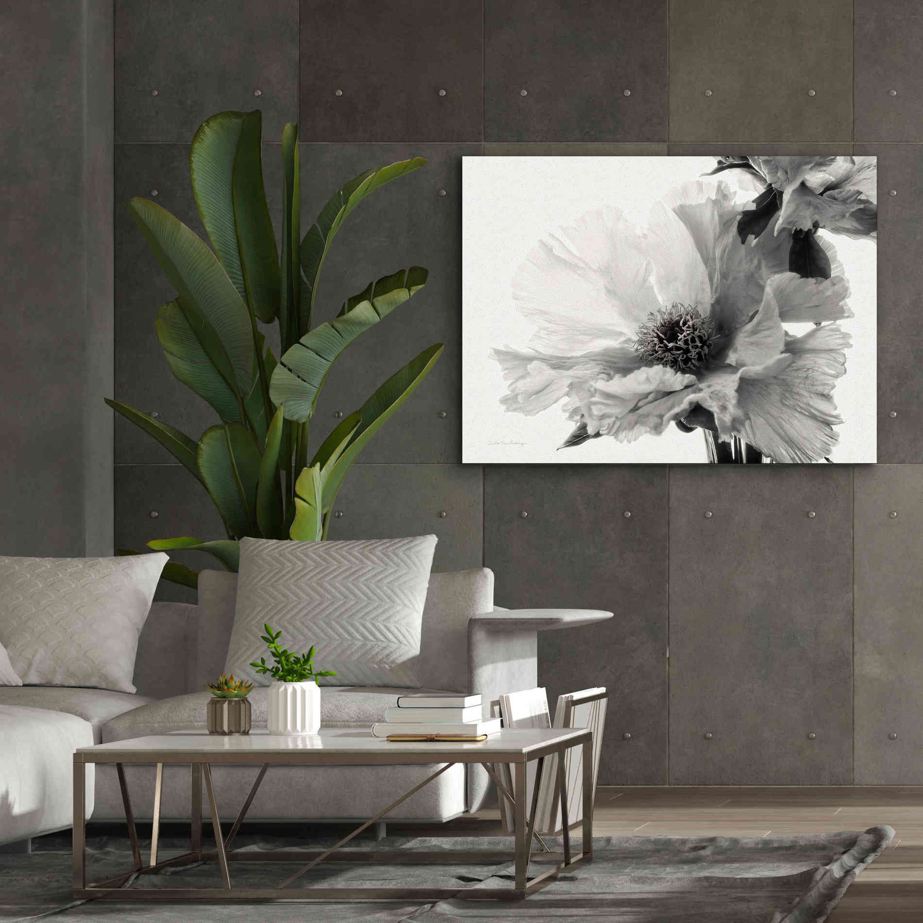 'Translucent Peony VBW' by Debra Van Swearingen, Canvas Wall Art,54 x 40