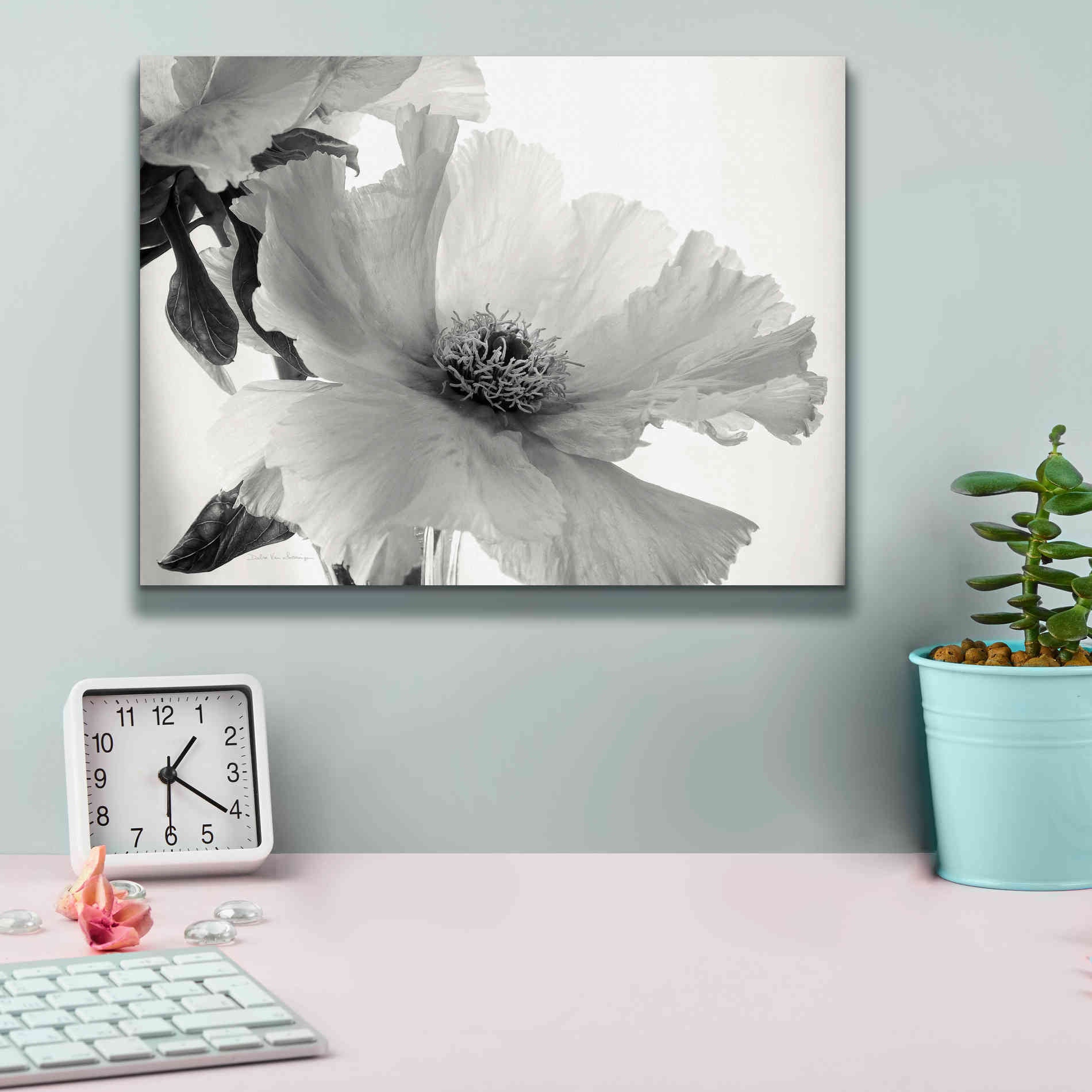 'Translucent Peony VIBW' by Debra Van Swearingen, Canvas Wall Art,16 x 12