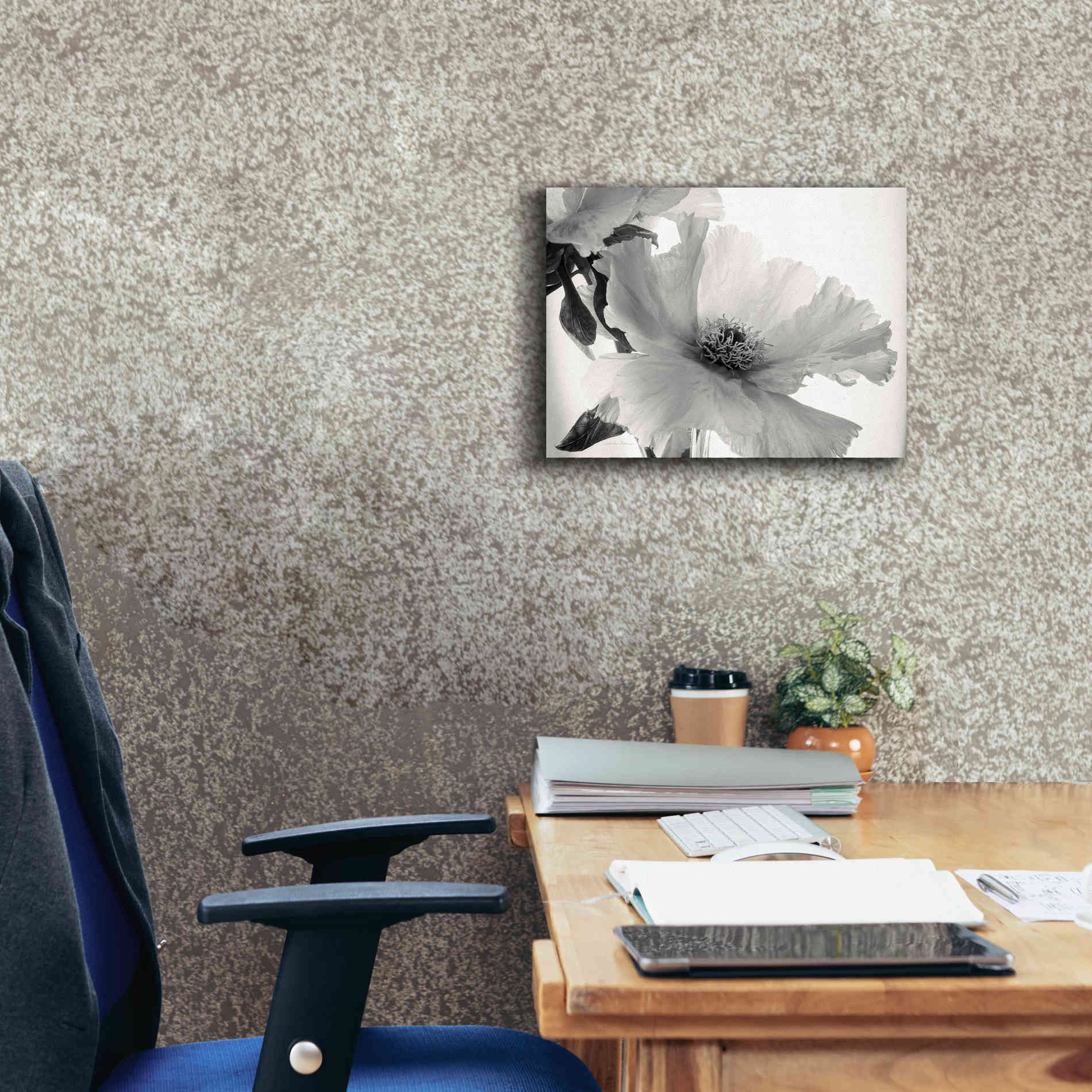 'Translucent Peony VIBW' by Debra Van Swearingen, Canvas Wall Art,16 x 12