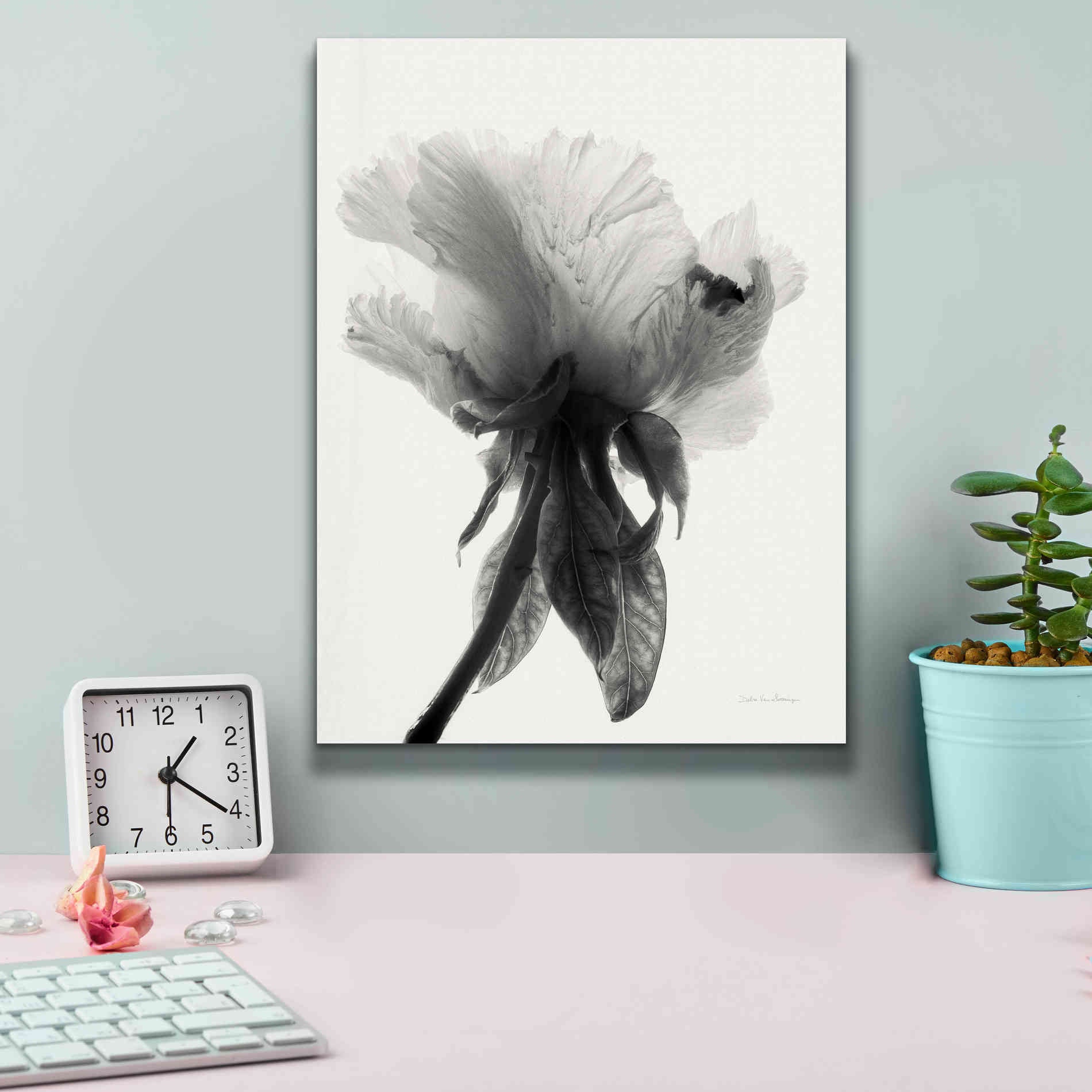 'Translucent Peony VIIBW' by Debra Van Swearingen, Canvas Wall Art,12 x 16