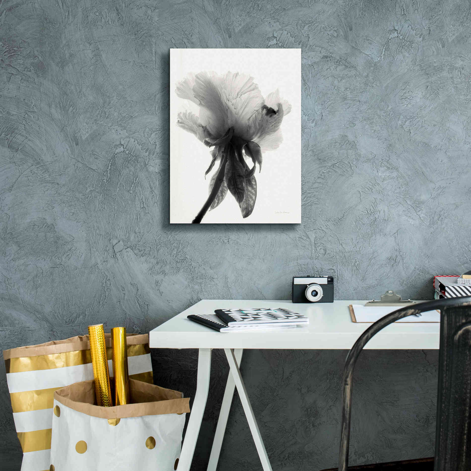 'Translucent Peony VIIBW' by Debra Van Swearingen, Canvas Wall Art,12 x 16