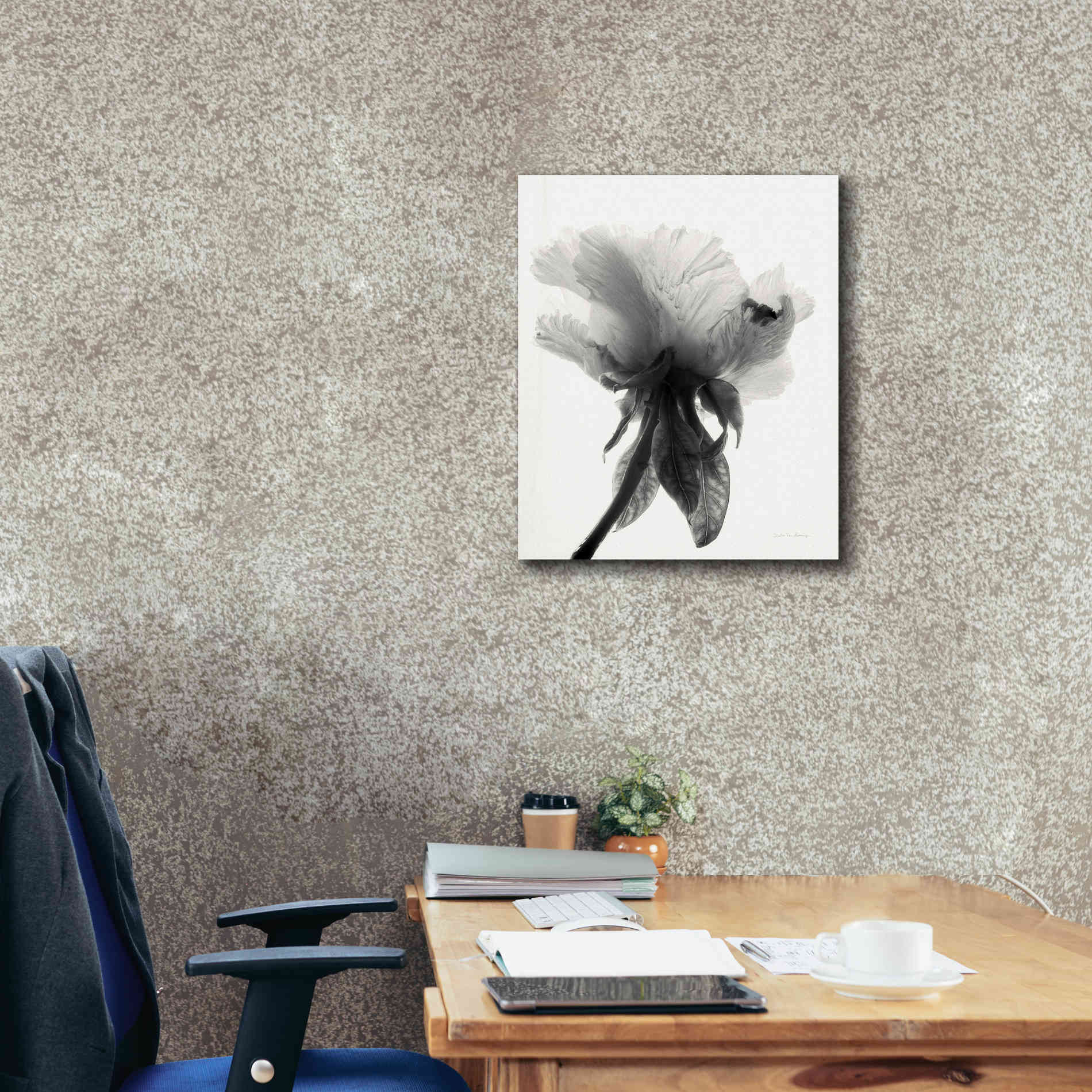 'Translucent Peony VIIBW' by Debra Van Swearingen, Canvas Wall Art,20 x 24