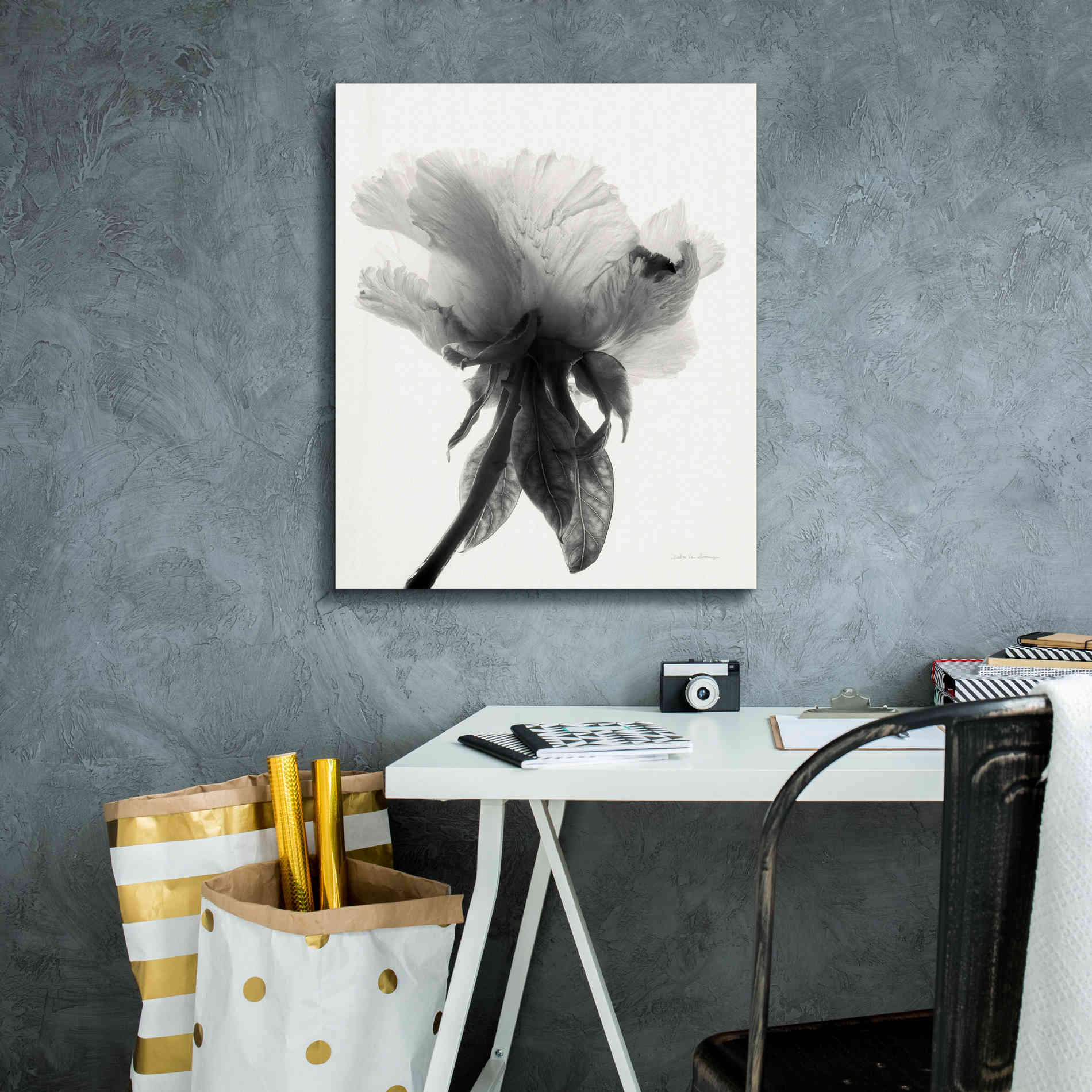 'Translucent Peony VIIBW' by Debra Van Swearingen, Canvas Wall Art,20 x 24
