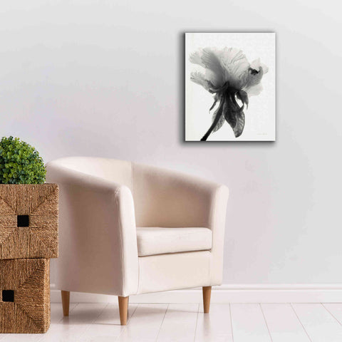 Image of 'Translucent Peony VIIBW' by Debra Van Swearingen, Canvas Wall Art,20 x 24