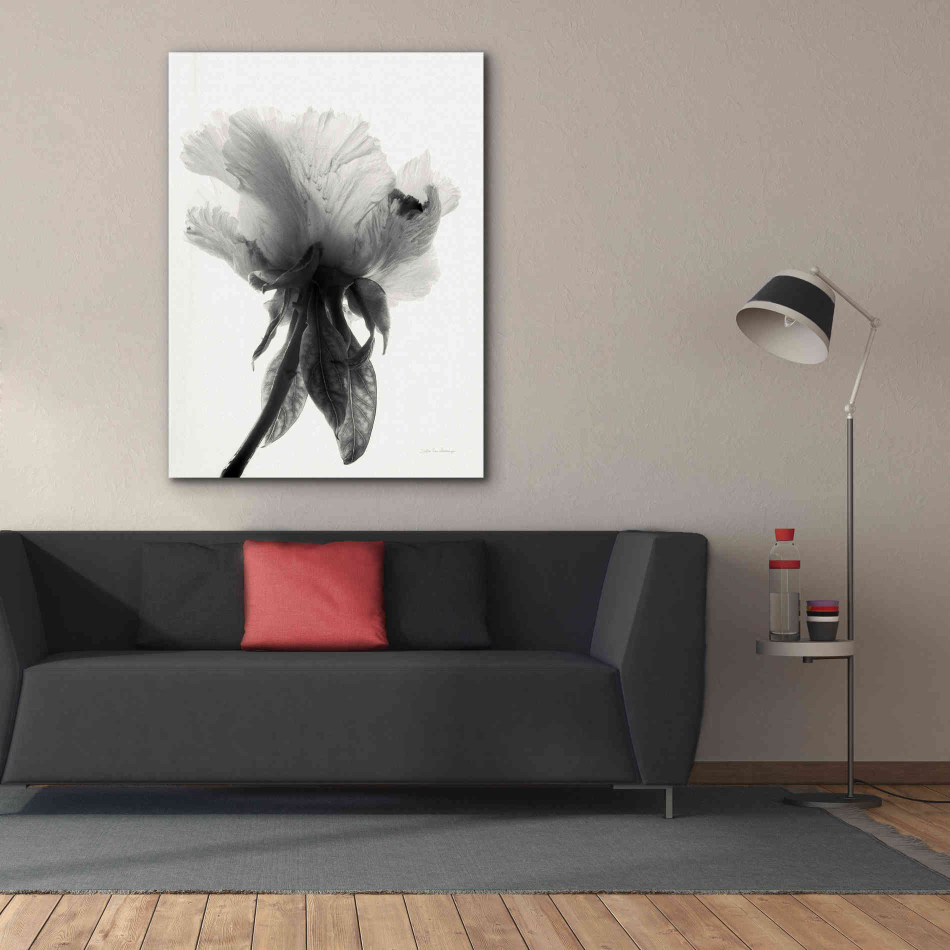 'Translucent Peony VIIBW' by Debra Van Swearingen, Canvas Wall Art,40 x 54