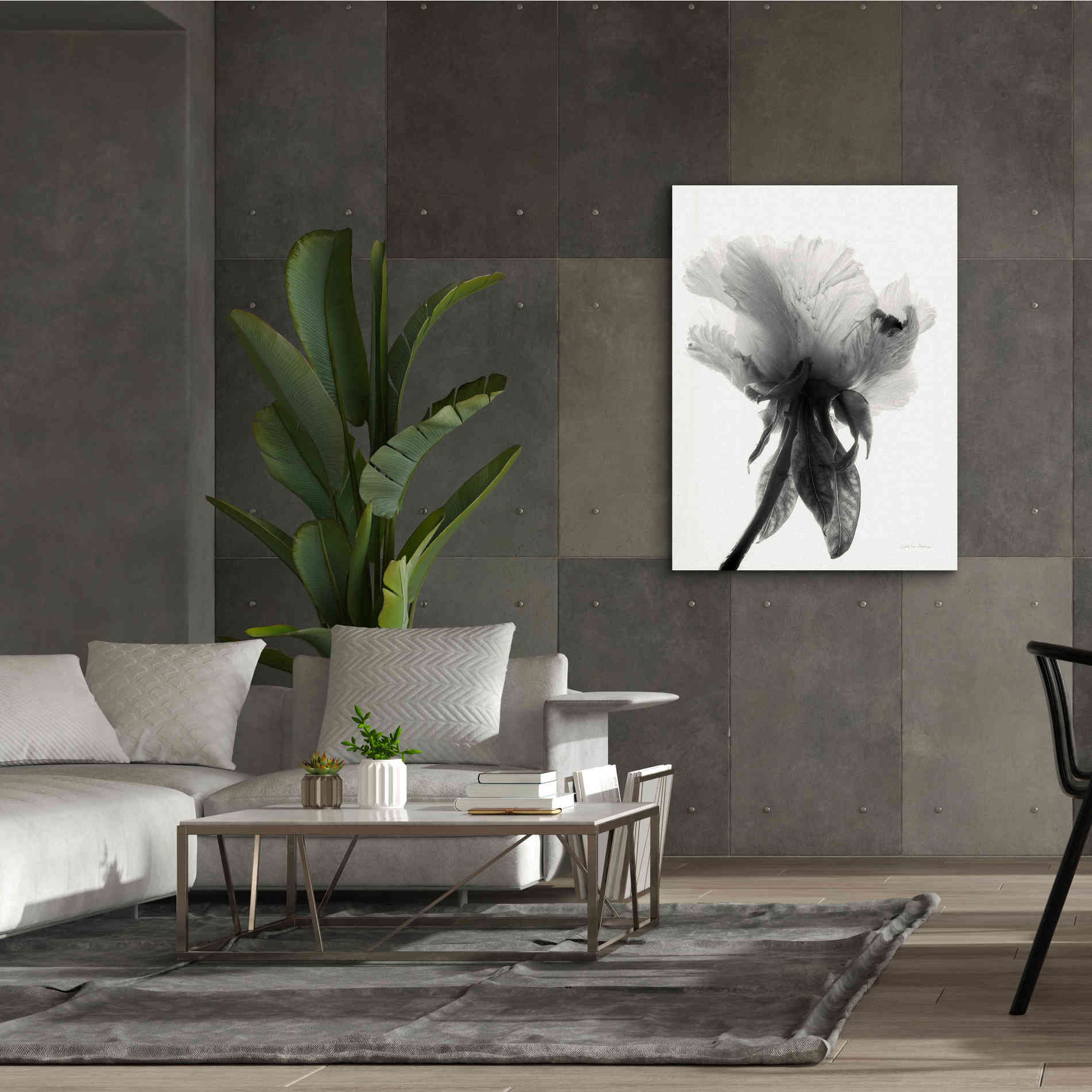 'Translucent Peony VIIBW' by Debra Van Swearingen, Canvas Wall Art,40 x 54