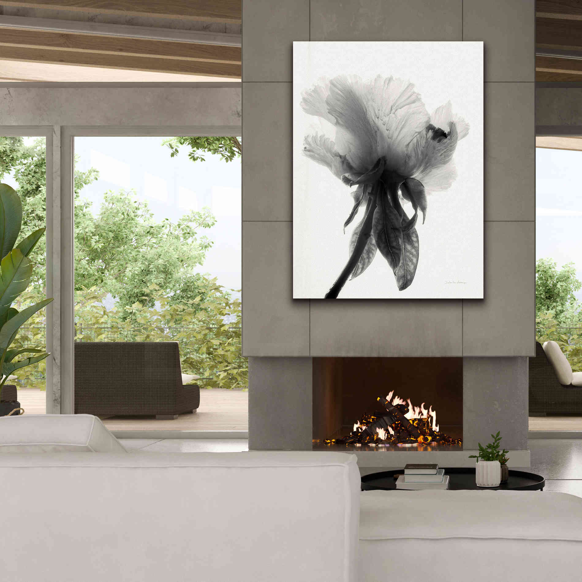 'Translucent Peony VIIBW' by Debra Van Swearingen, Canvas Wall Art,40 x 54