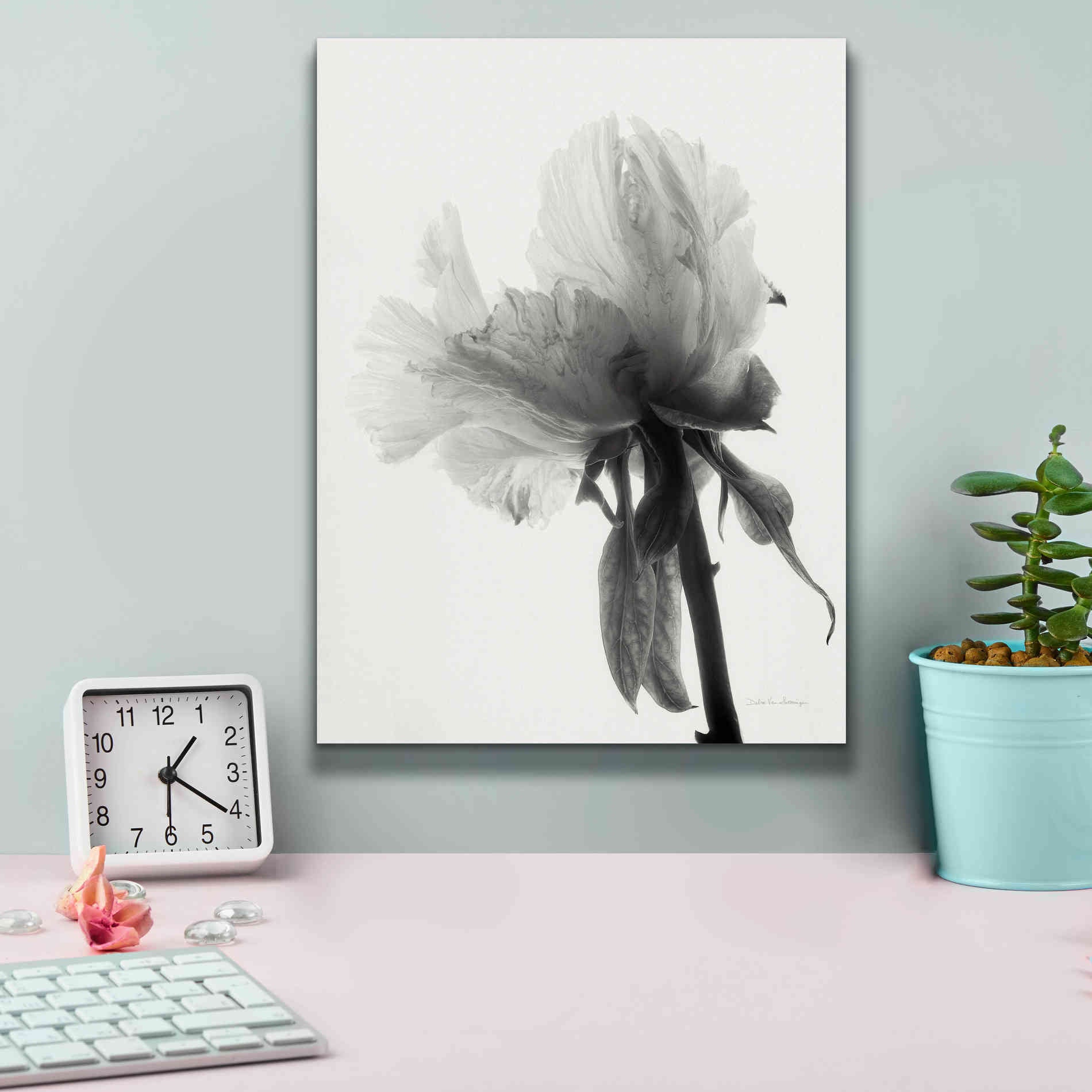 'Translucent Peony VIIIBW' by Debra Van Swearingen, Canvas Wall Art,12 x 16