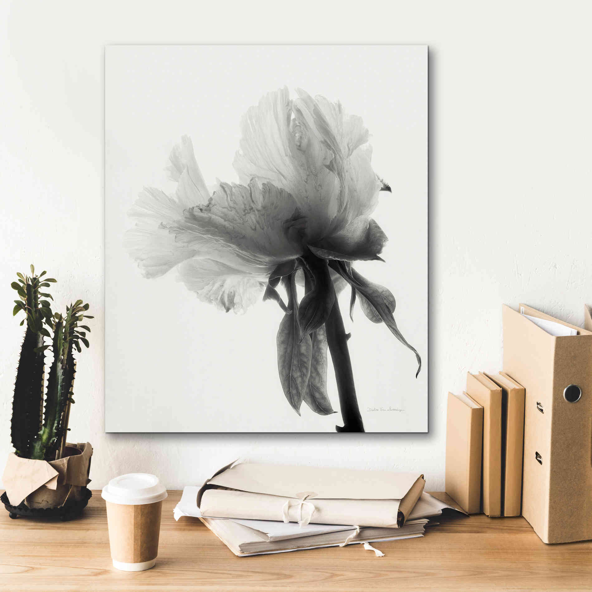 'Translucent Peony VIIIBW' by Debra Van Swearingen, Canvas Wall Art,20 x 24