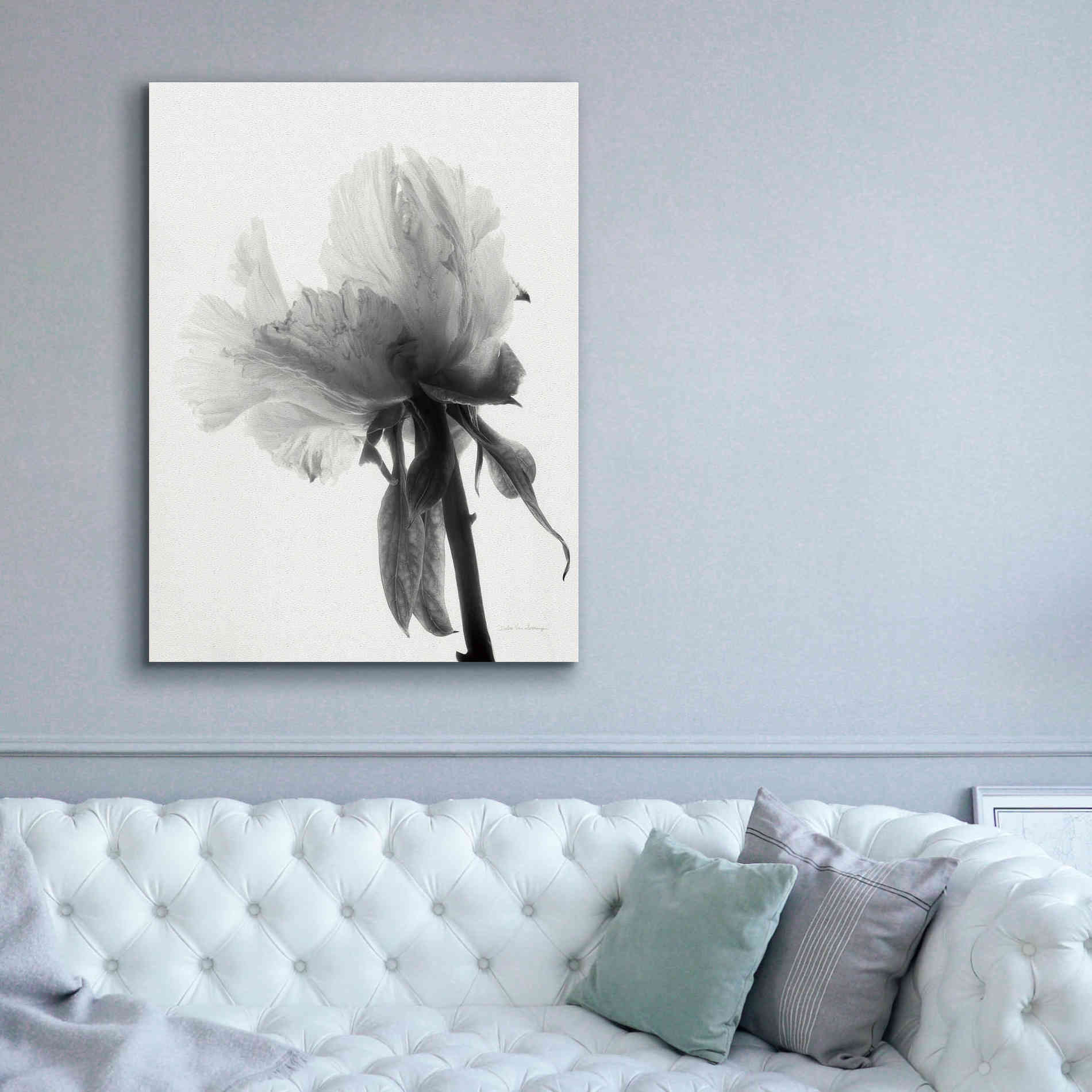 'Translucent Peony VIIIBW' by Debra Van Swearingen, Canvas Wall Art,40 x 54