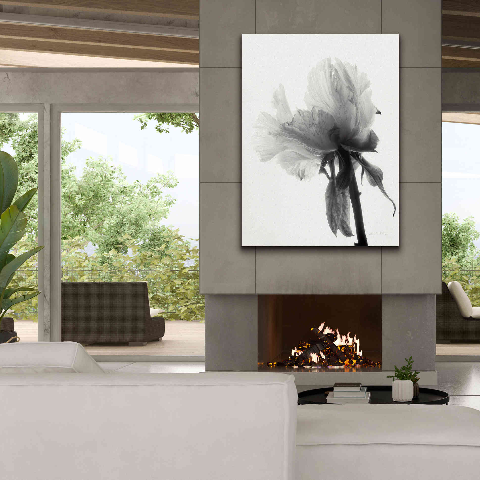 'Translucent Peony VIIIBW' by Debra Van Swearingen, Canvas Wall Art,40 x 54