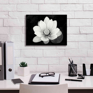 'Lotus Flower II v2' by Debra Van Swearingen, Canvas Wall Art,16 x 12