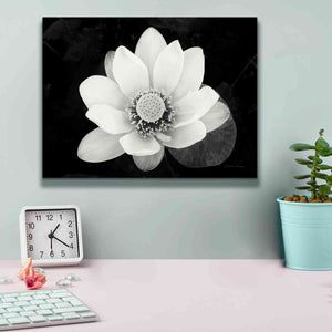 'Lotus Flower II v2' by Debra Van Swearingen, Canvas Wall Art,16 x 12