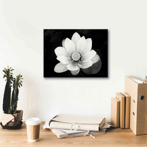 Image of 'Lotus Flower II v2' by Debra Van Swearingen, Canvas Wall Art,16 x 12