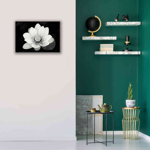 Image of 'Lotus Flower II v2' by Debra Van Swearingen, Canvas Wall Art,26 x 18