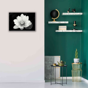 'Lotus Flower II v2' by Debra Van Swearingen, Canvas Wall Art,26 x 18