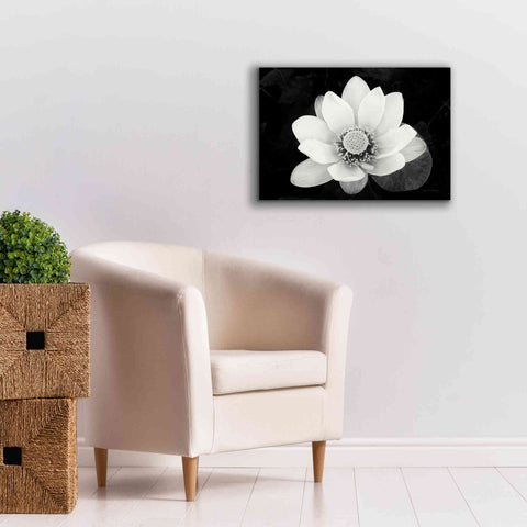 Image of 'Lotus Flower II v2' by Debra Van Swearingen, Canvas Wall Art,26 x 18