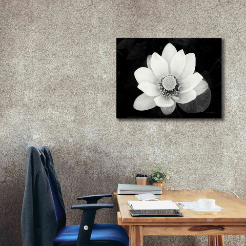 Image of 'Lotus Flower II v2' by Debra Van Swearingen, Canvas Wall Art,34 x 26