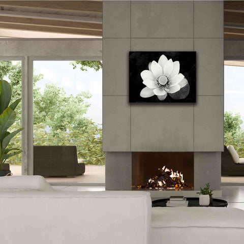 Image of 'Lotus Flower II v2' by Debra Van Swearingen, Canvas Wall Art,34 x 26