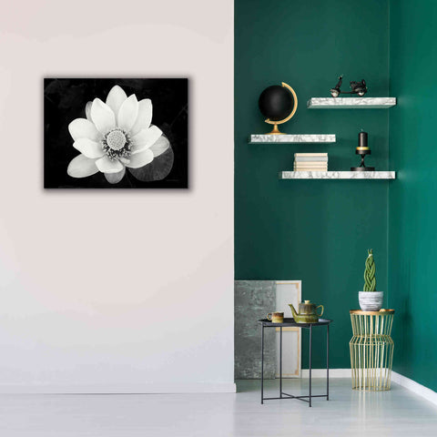 Image of 'Lotus Flower II v2' by Debra Van Swearingen, Canvas Wall Art,34 x 26