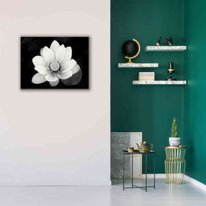 'Lotus Flower II v2' by Debra Van Swearingen, Canvas Wall Art,34 x 26