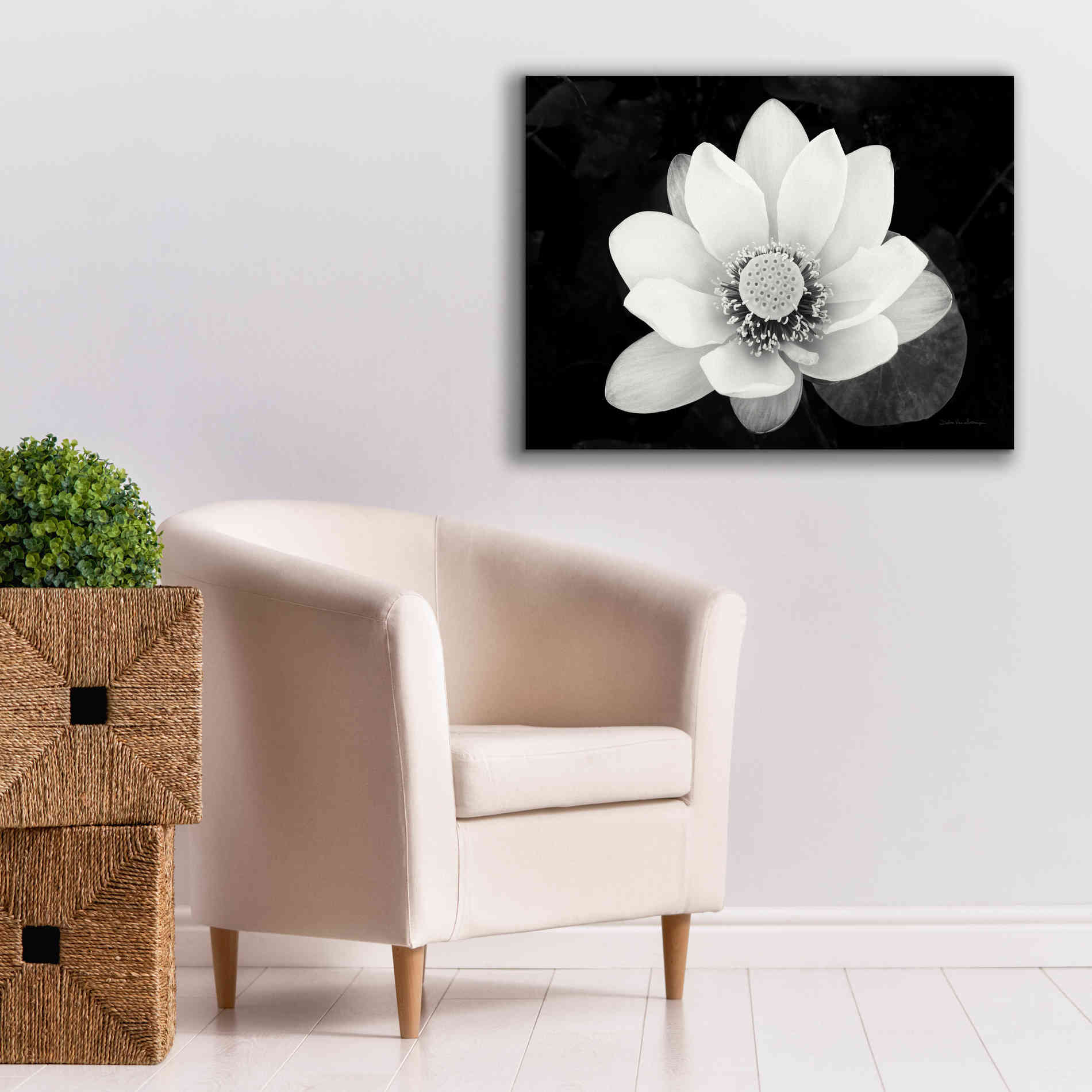 'Lotus Flower II v2' by Debra Van Swearingen, Canvas Wall Art,34 x 26