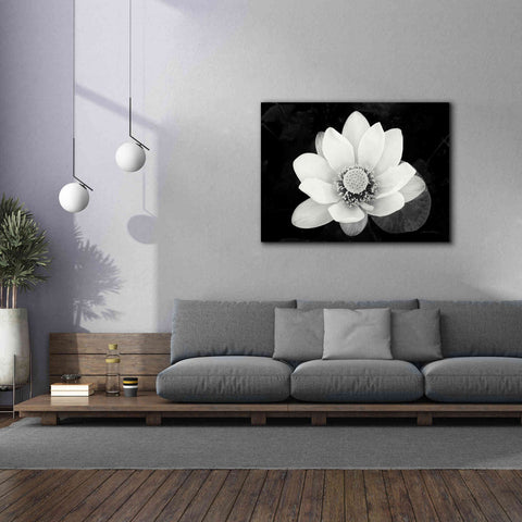 Image of 'Lotus Flower II v2' by Debra Van Swearingen, Canvas Wall Art,54 x 40