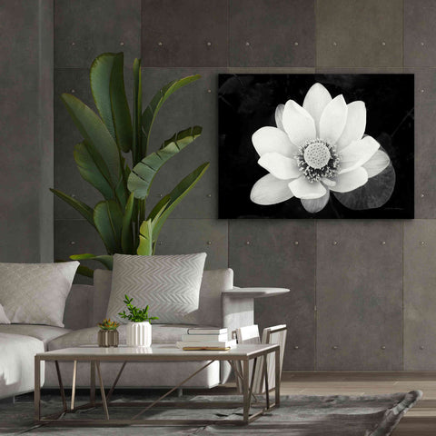 Image of 'Lotus Flower II v2' by Debra Van Swearingen, Canvas Wall Art,54 x 40