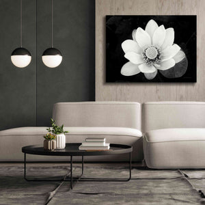 'Lotus Flower II v2' by Debra Van Swearingen, Canvas Wall Art,54 x 40