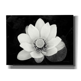 'Lotus Flower II v2' by Debra Van Swearingen, Canvas Wall Art,16x12x1.1x0,26x18x1.1x0,34x26x1.74x0,54x40x1.74x0