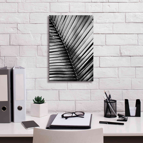 Image of 'Palm Frond I' by Debra Van Swearingen, Canvas Wall Art,12 x 18