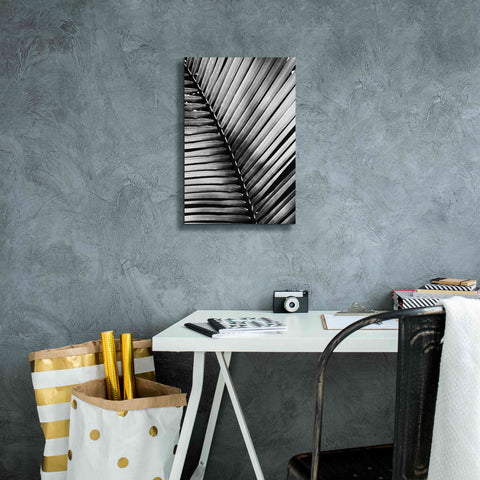 Image of 'Palm Frond I' by Debra Van Swearingen, Canvas Wall Art,12 x 18